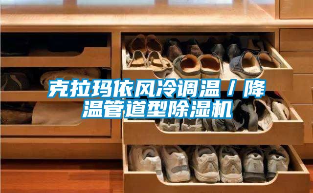 克拉瑪依風冷調溫/降溫管道型除濕機