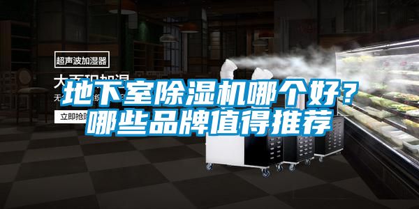 地下室除濕機(jī)哪個(gè)好?哪些品牌值得推薦