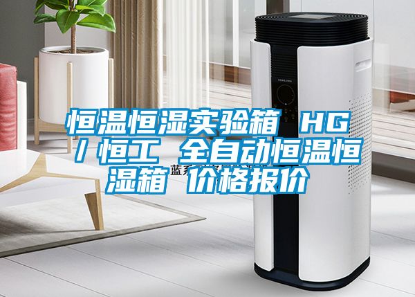 恒溫恒濕實驗箱 HG/恒工 全自動恒溫恒濕箱 價格報價