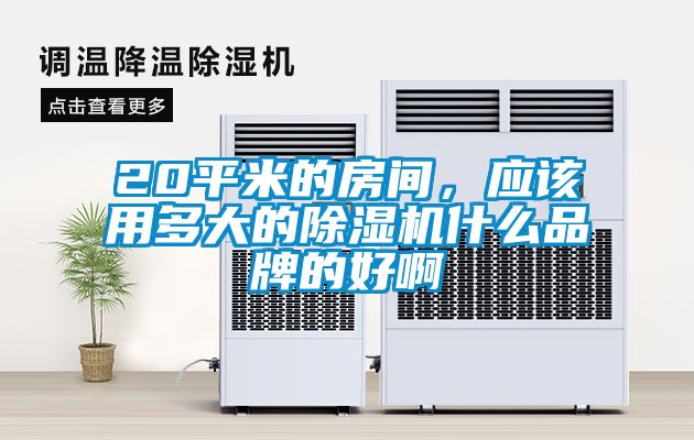 20平米的房間,應該用多大的除濕機什么品牌的好啊