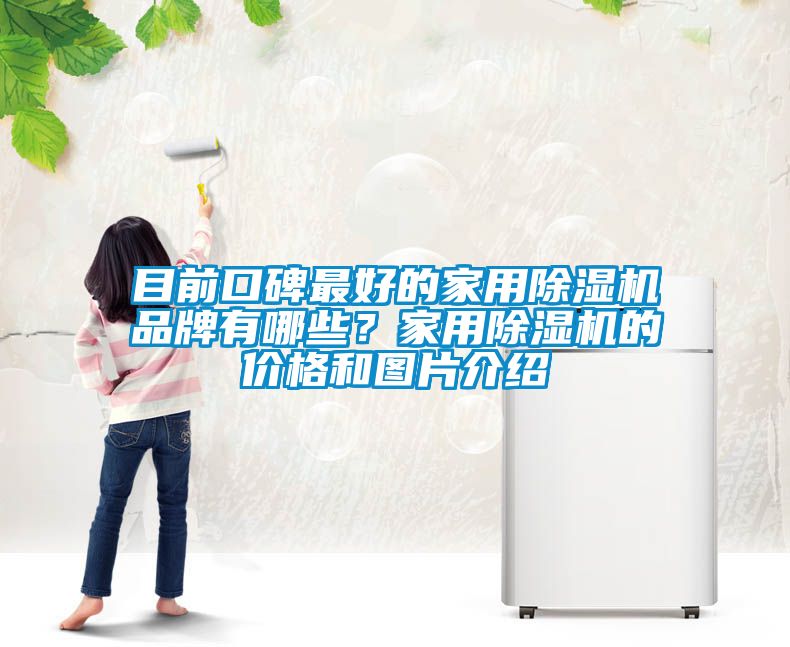 目前口碑最好的家用除濕機品牌有哪些?家用除濕機的價格和圖片介紹
