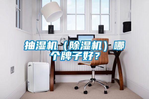 抽濕機(除濕機)哪個牌子好?