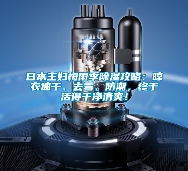 日本主婦梅雨季除濕攻略：晾衣速干、去霉、防潮，終于活得干凈清爽！