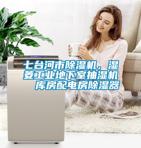 七臺河市除濕機,濕菱工業(yè)地下室抽濕機  庫房配電房除濕器