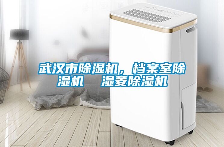 武漢市除濕機,檔案室除濕機  濕菱除濕機