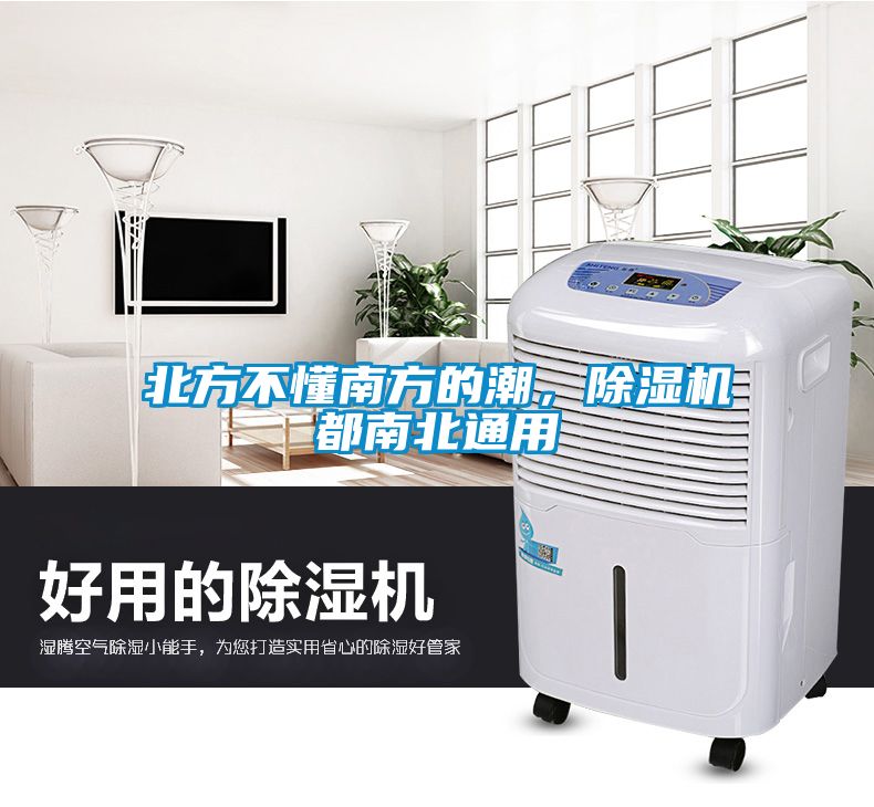 北方不懂南方的潮，除濕機都南北通用