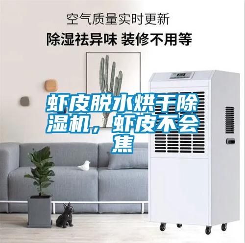 蝦皮脫水烘干除濕機(jī),蝦皮不會(huì)焦