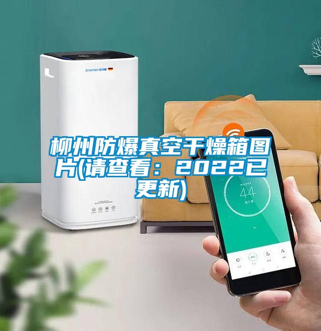 柳州防爆真空干燥箱圖片(請查看:2022已更新)
