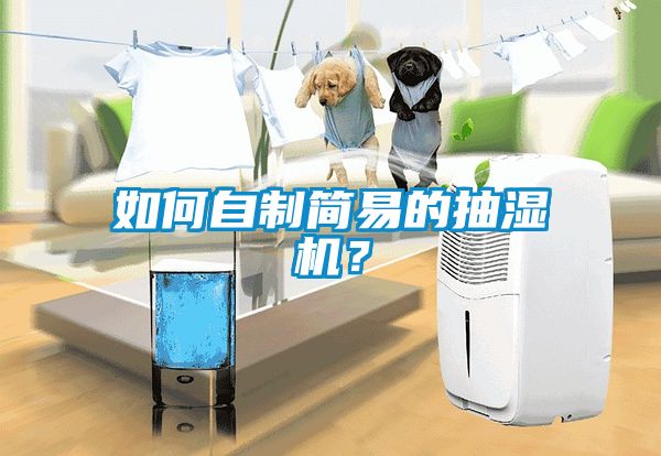 如何自制簡易的抽濕機？