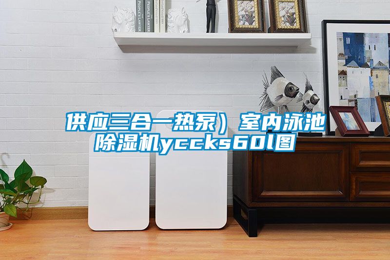 供應三合一熱泵)室內泳池除濕機yccks60l圖