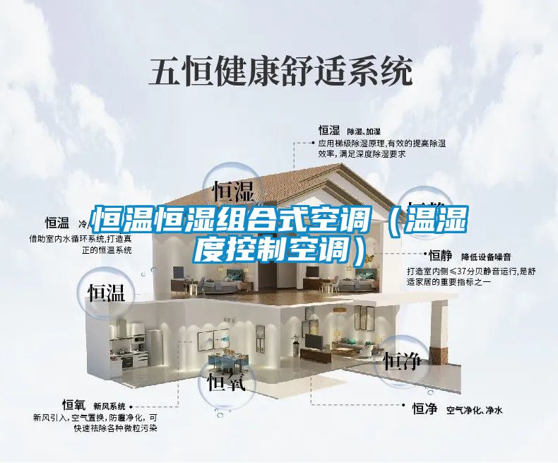 恒溫恒濕組合式空調(溫濕度控制空調)