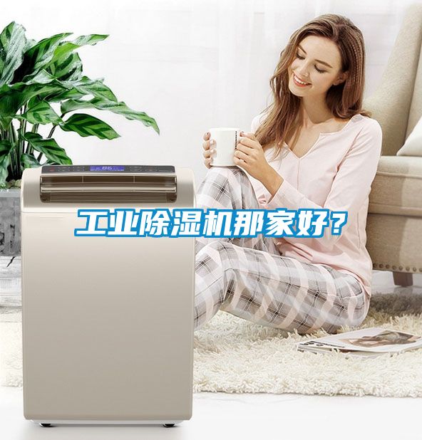 工業(yè)除濕機(jī)那家好?