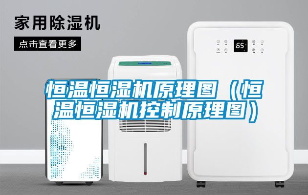 恒溫恒濕機原理圖(恒溫恒濕機控制原理圖)