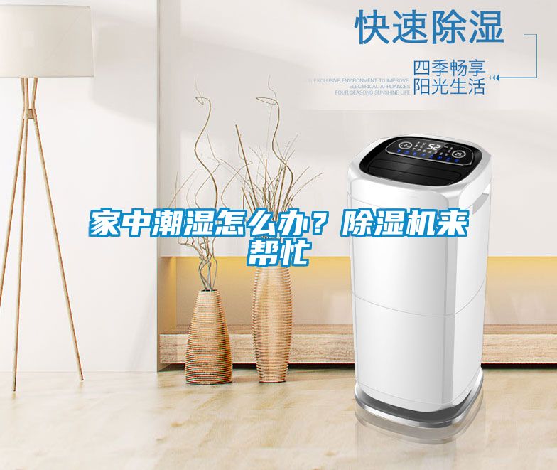 家中潮濕怎么辦?除濕機來幫忙