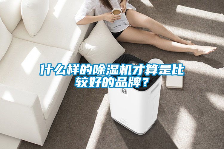 什么樣的除濕機才算是比較好的品牌?