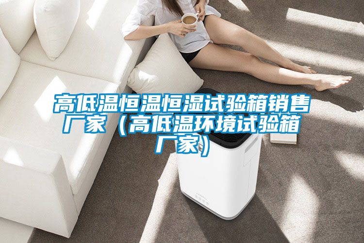 高低溫恒溫恒濕試驗箱銷售廠家(高低溫環境試驗箱廠家)