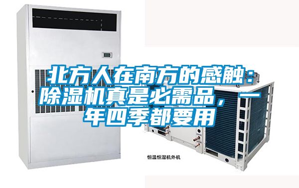 北方人在南方的感觸:除濕機真是必需品,一年四季都要用