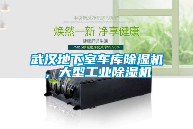 武漢地下室車庫除濕機,大型工業除濕機