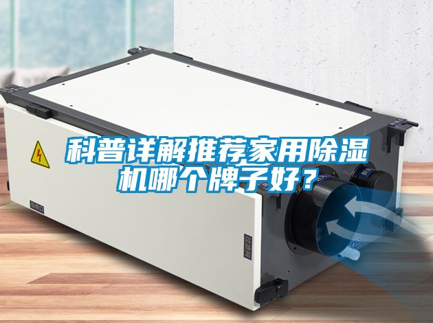 科普詳解推薦家用除濕機哪個牌子好？