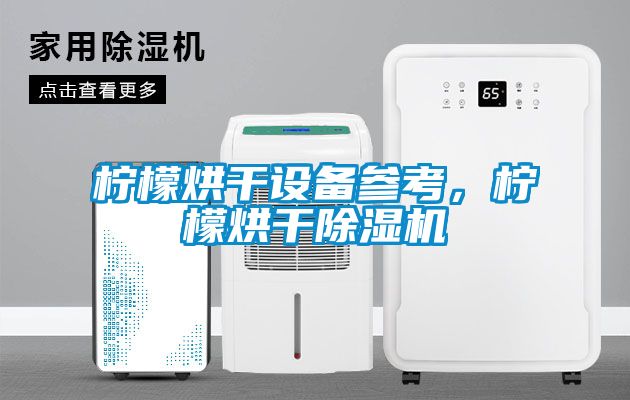 檸檬烘干設備參考,檸檬烘干除濕機