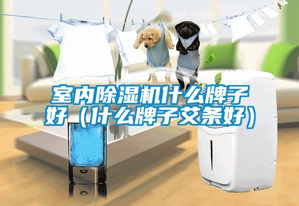 室內(nèi)除濕機(jī)什么牌子好(什么牌子艾條好)