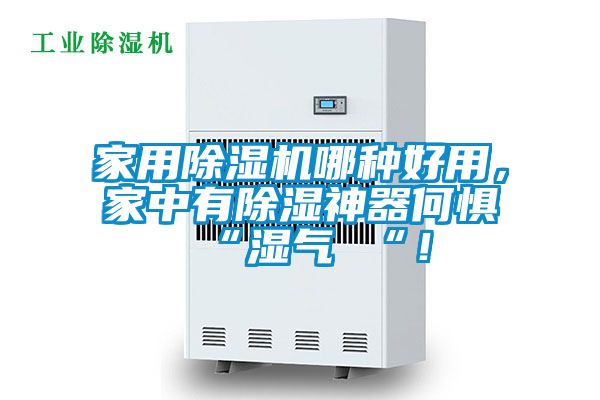 家用除濕機哪種好用，家中有除濕神器何懼 “濕氣 “！