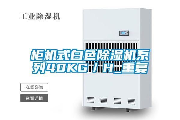 柜機式白色除濕機系列40KG/H_重復