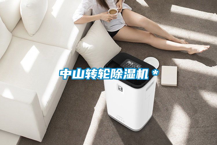 中山轉(zhuǎn)輪除濕機(jī)*