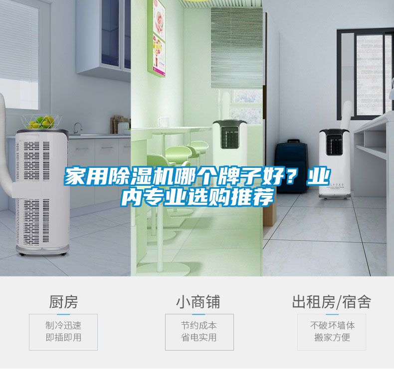 家用除濕機(jī)哪個(gè)牌子好？業(yè)內(nèi)專業(yè)選購?fù)扑]