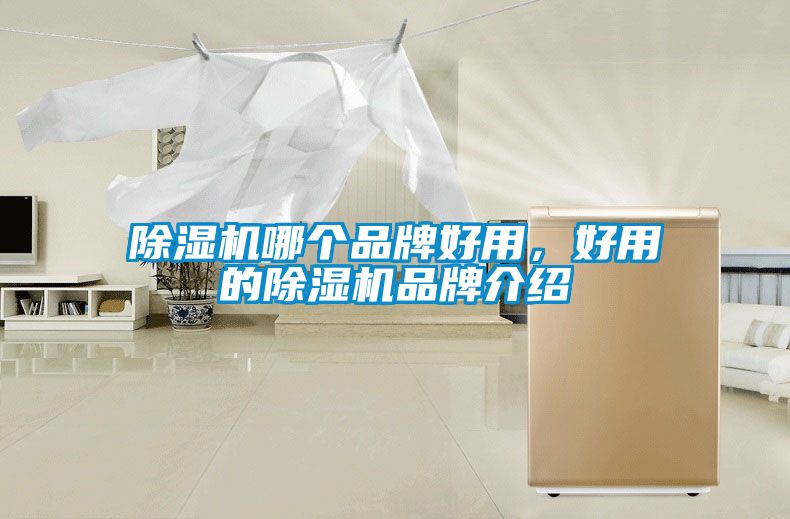 除濕機哪個品牌好用,好用的除濕機品牌介紹
