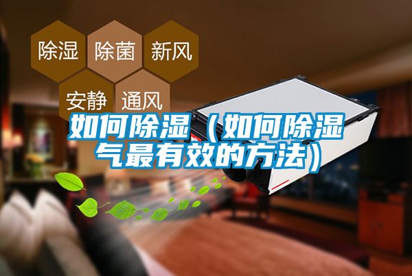 如何除濕(如何除濕氣最有效的方法)