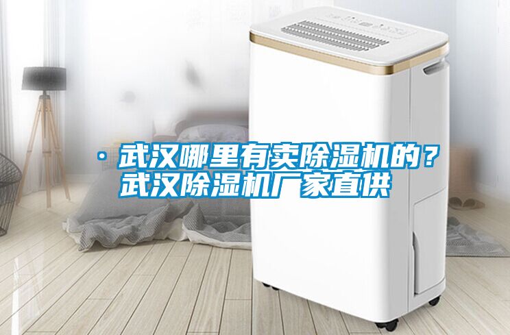 ·武漢哪里有賣除濕機的?武漢除濕機廠家直供