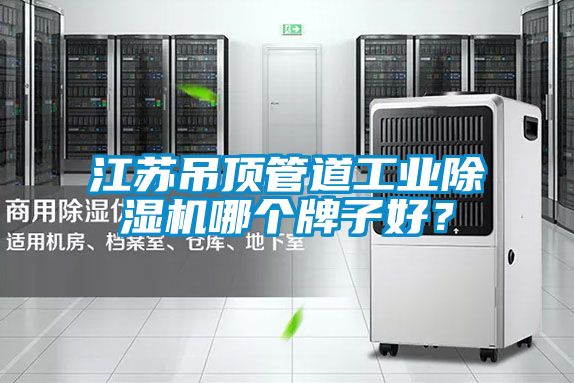 江蘇吊頂管道工業(yè)除濕機哪個牌子好?