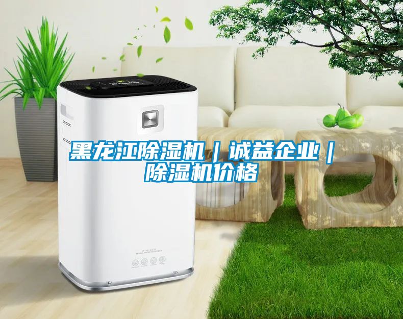 黑龍江除濕機(jī)|誠益企業(yè)|除濕機(jī)價格