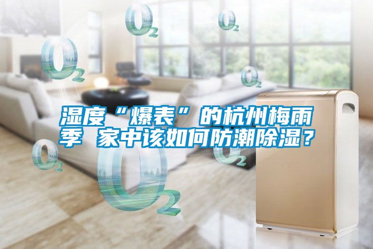 濕度“爆表”的杭州梅雨季 家中該如何防潮除濕?