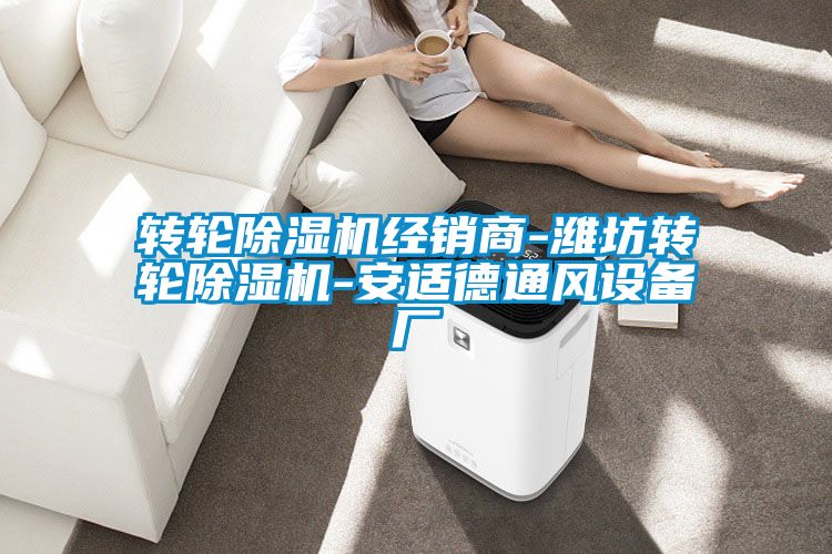 轉(zhuǎn)輪除濕機(jī)經(jīng)銷(xiāo)商-濰坊轉(zhuǎn)輪除濕機(jī)-安適德通風(fēng)設(shè)備廠