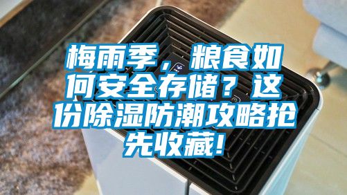 梅雨季,糧食如何安全存儲(chǔ)?這份除濕防潮攻略搶先收藏!