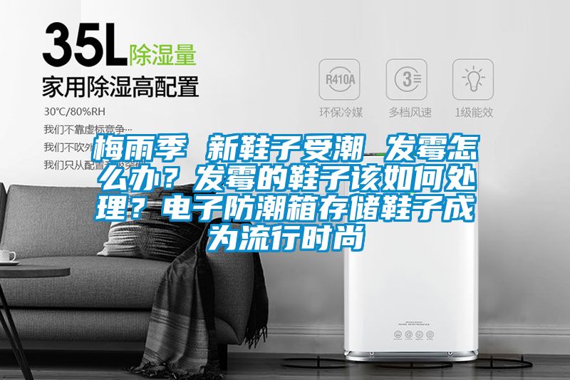梅雨季 新鞋子受潮 發(fā)霉怎么辦?發(fā)霉的鞋子該如何處理?電子防潮箱存儲鞋子成為流行時尚