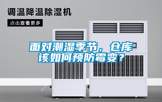 面對潮濕季節，倉庫該如何預防霉變？