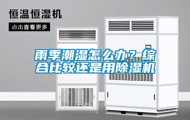 雨季潮濕怎么辦？綜合比較還是用除濕機