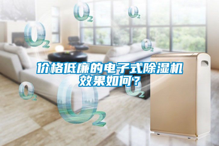 價格低廉的電子式除濕機效果如何?