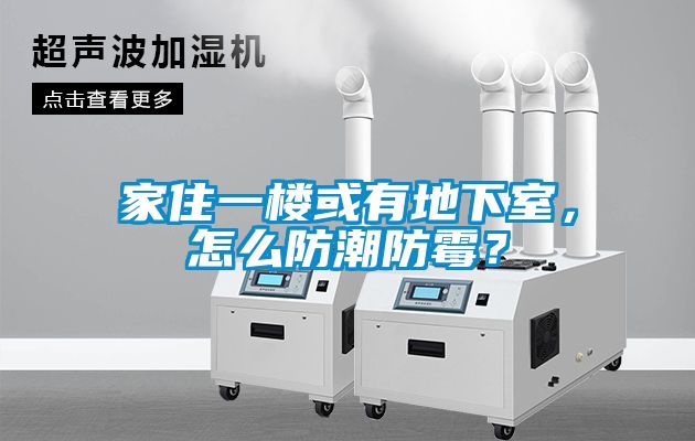 家住一樓或有地下室,怎么防潮防霉?