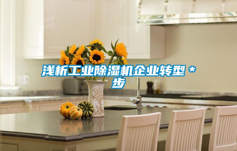 淺析工業(yè)除濕機(jī)企業(yè)轉(zhuǎn)型*步