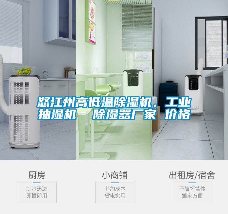 怒江州高低溫除濕機,工業抽濕機  除濕器廠家 價格
