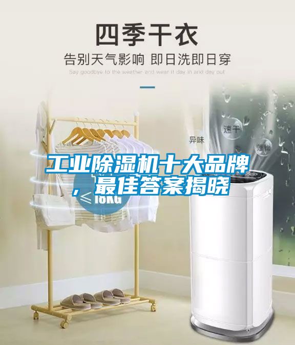 工業除濕機十大品牌,最佳答案揭曉