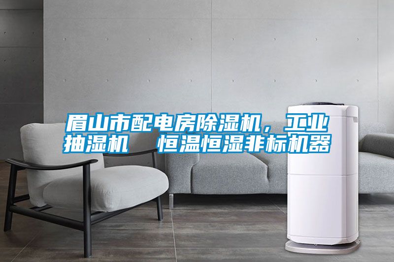 眉山市配電房除濕機(jī),工業(yè)抽濕機(jī)  恒溫恒濕非標(biāo)機(jī)器
