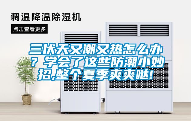 三伏天又潮又熱怎么辦?學(xué)會了這些防潮小妙招,整個(gè)夏季爽爽噠!