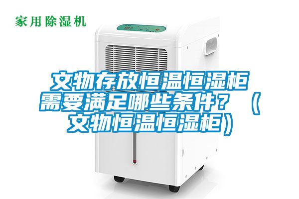 文物存放恒溫恒濕柜需要滿足哪些條件?(文物恒溫恒濕柜)