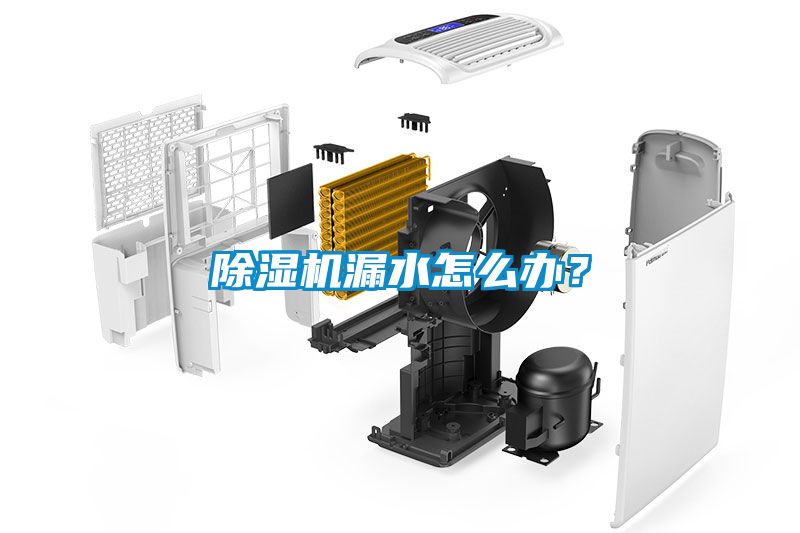 除濕機漏水怎么辦?