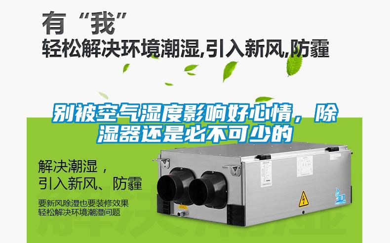別被空氣濕度影響好心情,除濕器還是必不可少的